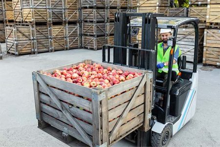 Forklift operator moving crates of apples in a warehouse, representing temporary staffing for warehouse roles.